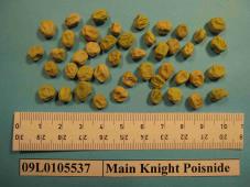 Click for 1 image(s) for this accession. Image